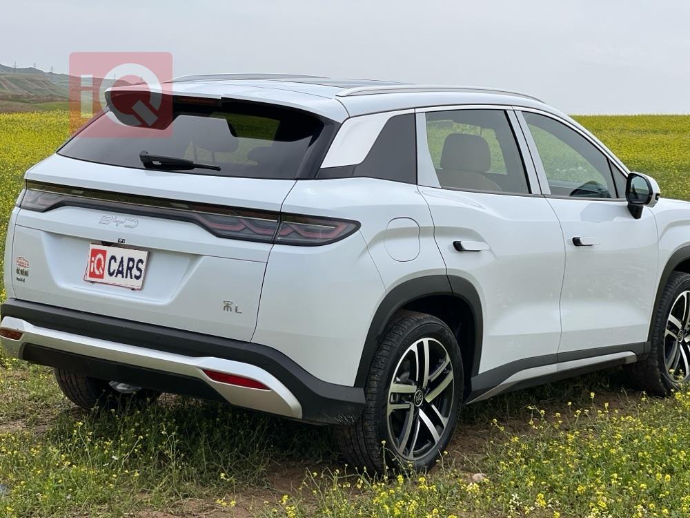 بي واي دي سونغ L DM-i